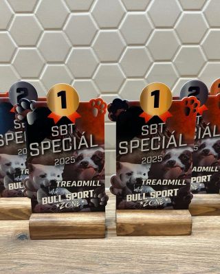 Uplynulý rok byl plný zajímavých realizací – mimo jiné i skleněných trofejí pro Bull Sport Zone, kde jsme se postarali o...